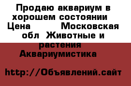 Продаю аквариум в хорошем состоянии › Цена ­ 500 - Московская обл. Животные и растения » Аквариумистика   